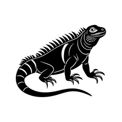 Iguana silhouette vector