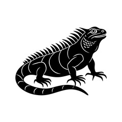 Iguana silhouette vector