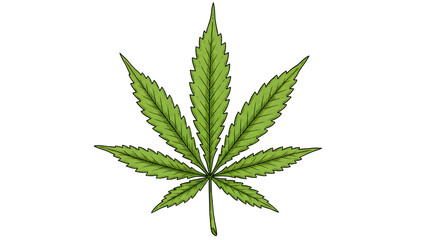 Explore the Unique Characteristics of Cannabis Leaf Illustration in Lush Green