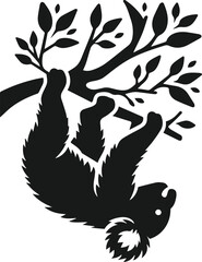 Koala vector animal silhouette