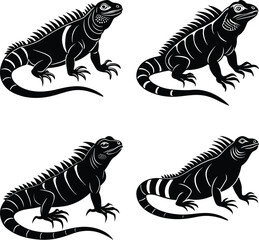 Iguana silhouette vector