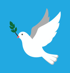 Dove with olive branch vector illustration graphic design