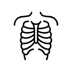 ribs