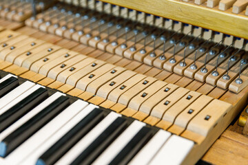 Close-up of piano keyboard and internal mechanism, Detailed view of piano keys and action...