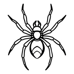 Vector image of spider silhouette
