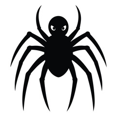 spider isolated on white background