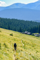 Wooden huts in a sunny mountain valley with a dense spruce forest and a traveler walking along a path on a grassy slope.