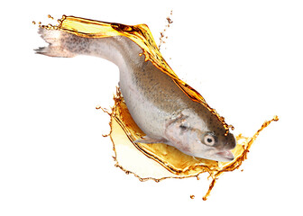 Fresh fish in oil splash on white background