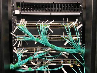 optical fiber, telecommunication equipment, communications, networks, optical patch cords, switch, router, DWDM