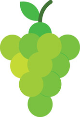 green-grapes---white-background