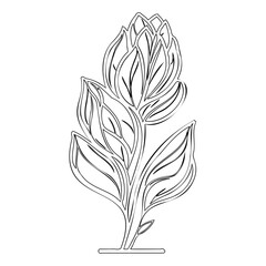 Elegant outlined botanical illustration of a blooming flower on a white canvas