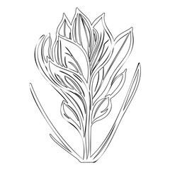 Obraz premium Elegant Floral Outline: A Minimalist Botanical Illustration for Creative Projects