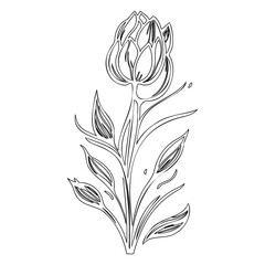 Elegant monochrome botanical illustration of a stylized floral arrangement