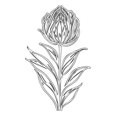 Elegant contour drawing of a blooming flower with intricate details and leaves
