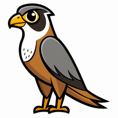 bird of prey