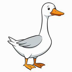 duck isolated on white