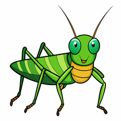 green grasshopper isolated on white