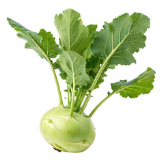Fresh kohlrabi with green leaves isolated on black background