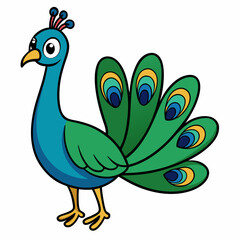 peacock vector illustration