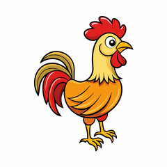 rooster isolated on white background
