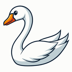 white swan on a white background