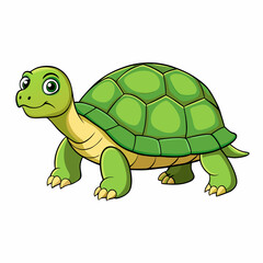 turtle, animal, tortoise, reptile, shell, cartoon, nature, wildlife, isolated, vector, green, illustration, pet, slow, cute, fun, animals, wild, frog, baby, white, zoo, amphibian, art, pets