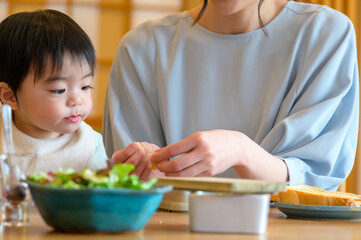 子どもにご飯を食べさせる日本人の母親