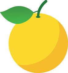 yuzu-citrus---white-background--.eps
