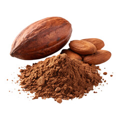 Cocoa pod, beans, and powder. Chocolate ingredient.