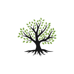 Obraz premium Green Leaved Tree with Black Trunk and Detailed Roots Illustration