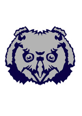 hibou tete animaux sauvage dessin