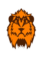 lion tete animaux sauvage dessin