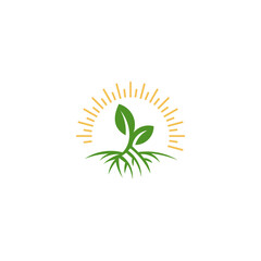 Green Plant Sprout Growing Under a Yellow Sun Illustration