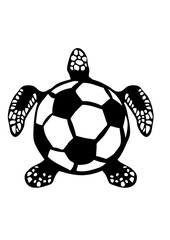 Obraz premium football tortue animal logo club foot