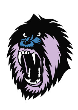 singe feroce gueule ouverte  makake