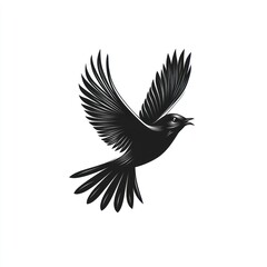 Obraz premium Black bird soaring, white background, freedom concept, logo design