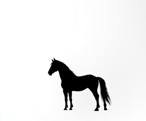 Black horse silhouette, field background, equestrian art, design element