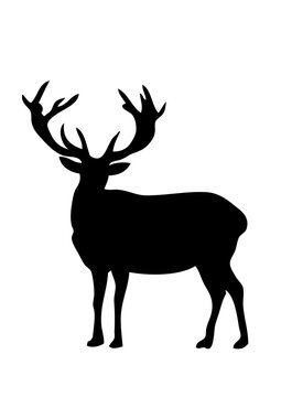 cerf dessin silhouette ombre