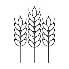 wheat icon, wheat vector illustration-simple illustration of wheat, perfect for wheat logos and icons