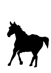 cheval dessin silhouette ombre