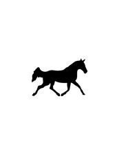 cheval dessin silhouette ombre