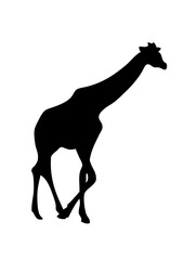 girafe silhouette ombre dessin