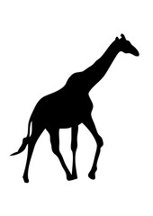 girafe silhouette ombre dessin
