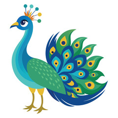 Peacock isolated on white background