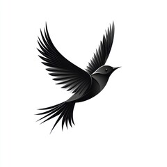 Black bird soaring, white background, graphic design element.