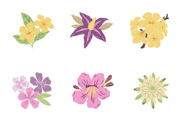 Colorful floral vector set of flowers and butterflies, a beautiful spring nature illustration with a seamless pattern design