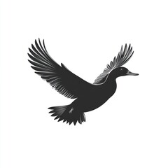 Obraz premium Black duck soaring, wings spread, white background, nature flight, logo design