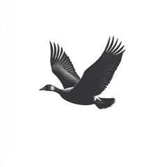 Obraz premium Canada goose soaring, white background, freedom, wildlife illustration