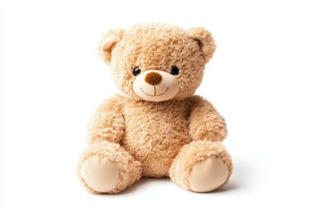 Obraz premium Teddy bear, sitting