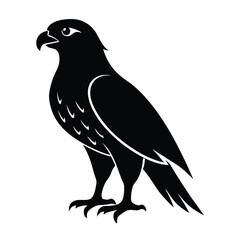 Hawk Silhouette Vector Art and Black and White Hawk Bird Illustration